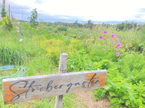 Marias Garten