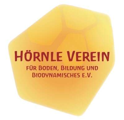 Hörnle Verein Logo ohne Hintergrund