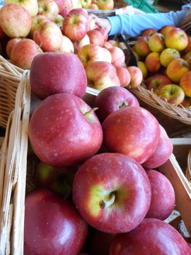 Äpfel