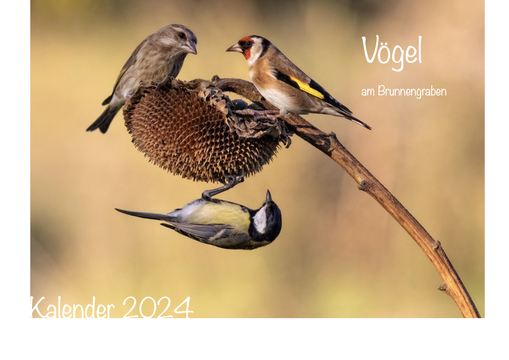 Titelblatt Vögel 2024.1