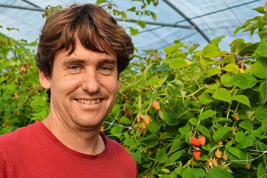 Joel BZ Himbeeren