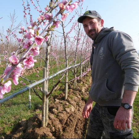 Michael Bacik Naturgut Hörnle KG Obstgut Siegel KG